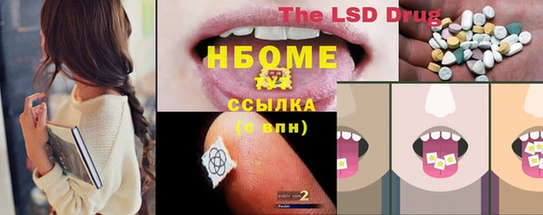 шишки Заволжск