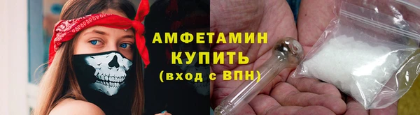 шишки Заволжск