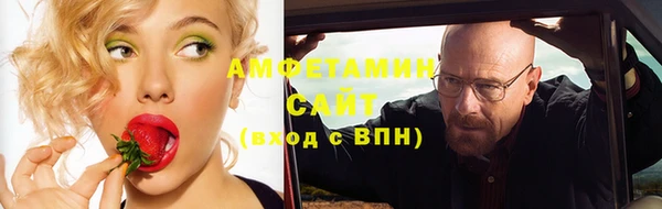 шишки Заволжск