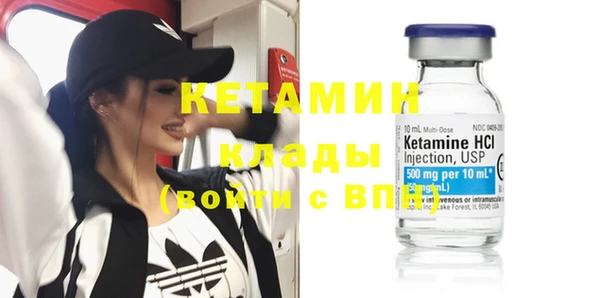 шишки Заволжск