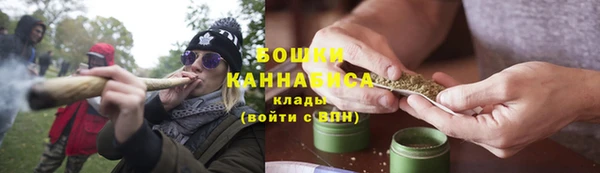 шишки Заволжск