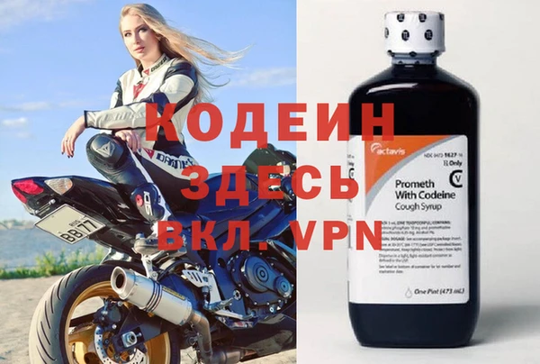 шишки Заволжск