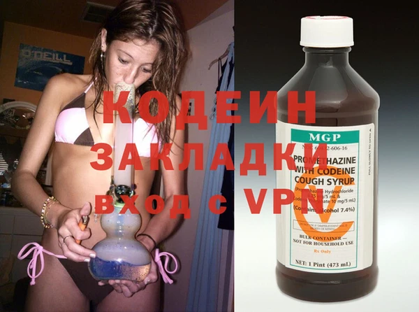 шишки Заволжск