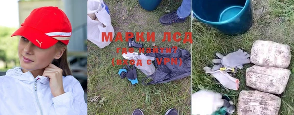 шишки Заволжск