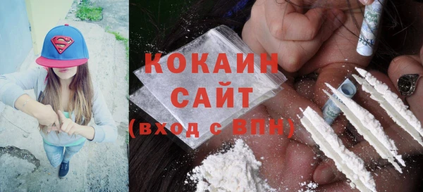 шишки Заволжск