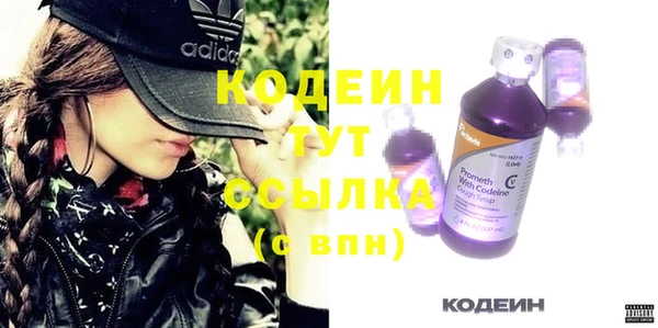 шишки Заволжск