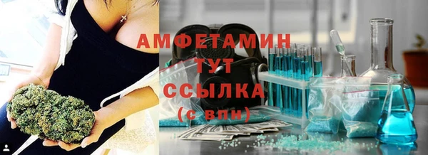 шишки Заволжск