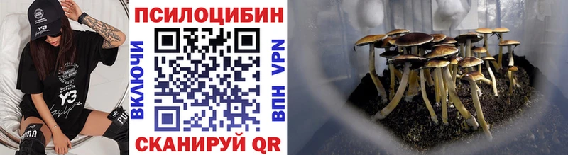 Купить где  Новая Ляля  Галлюциногенные грибы мицелий 